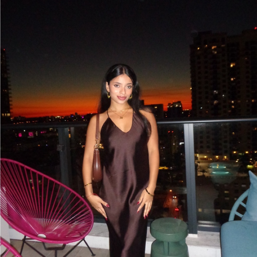 Zara brown silky dress